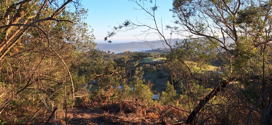 0 Bedroom Property for Sale in Knysna Rural Western Cape